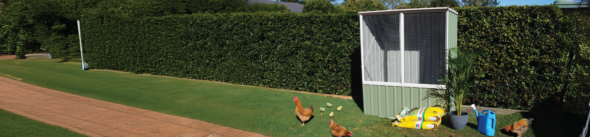 Chicken Coops