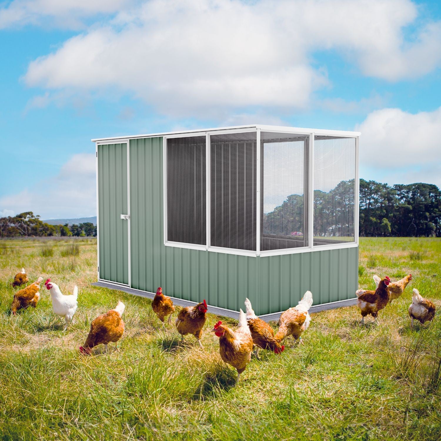 Chicken Coops