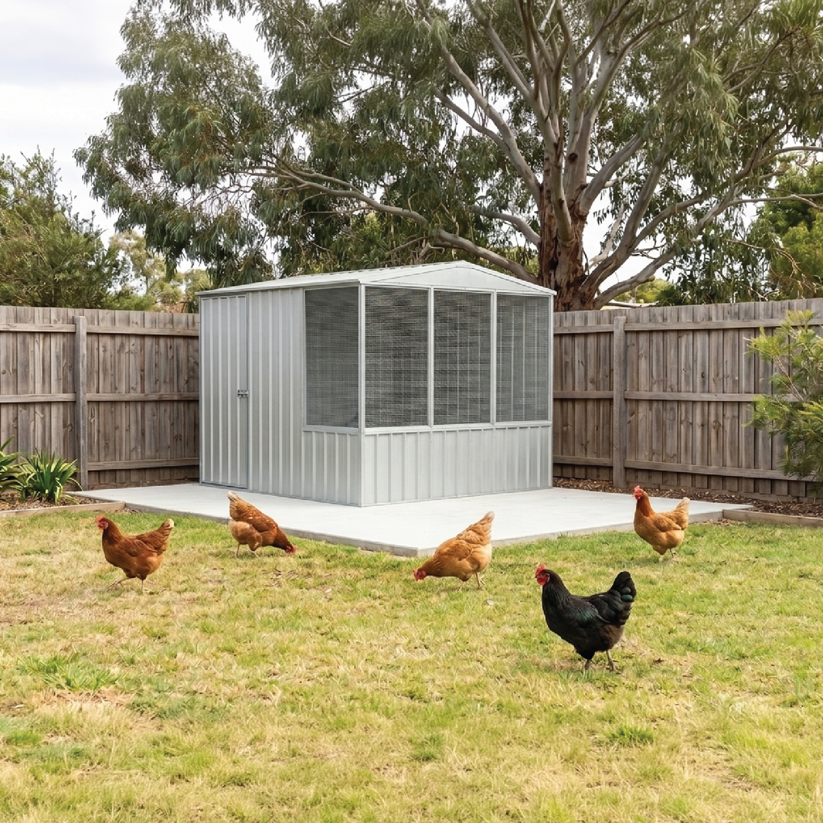 2.26mW x 2.22mD x 2.00mH Chicken Coop Gable Roof Single Door Zincalume