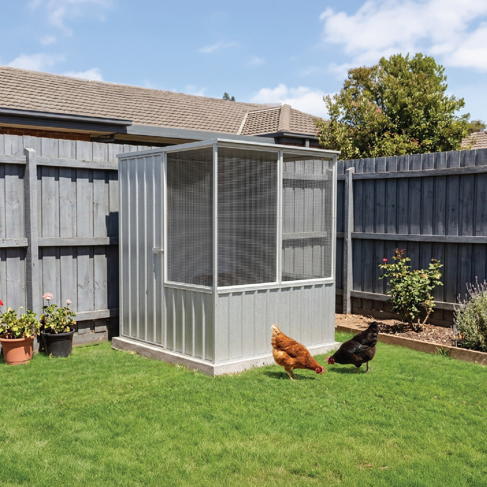 1.52mW x 1.52mD x 1.80mH Chicken Coop Flat Roof Single Door Zincalume