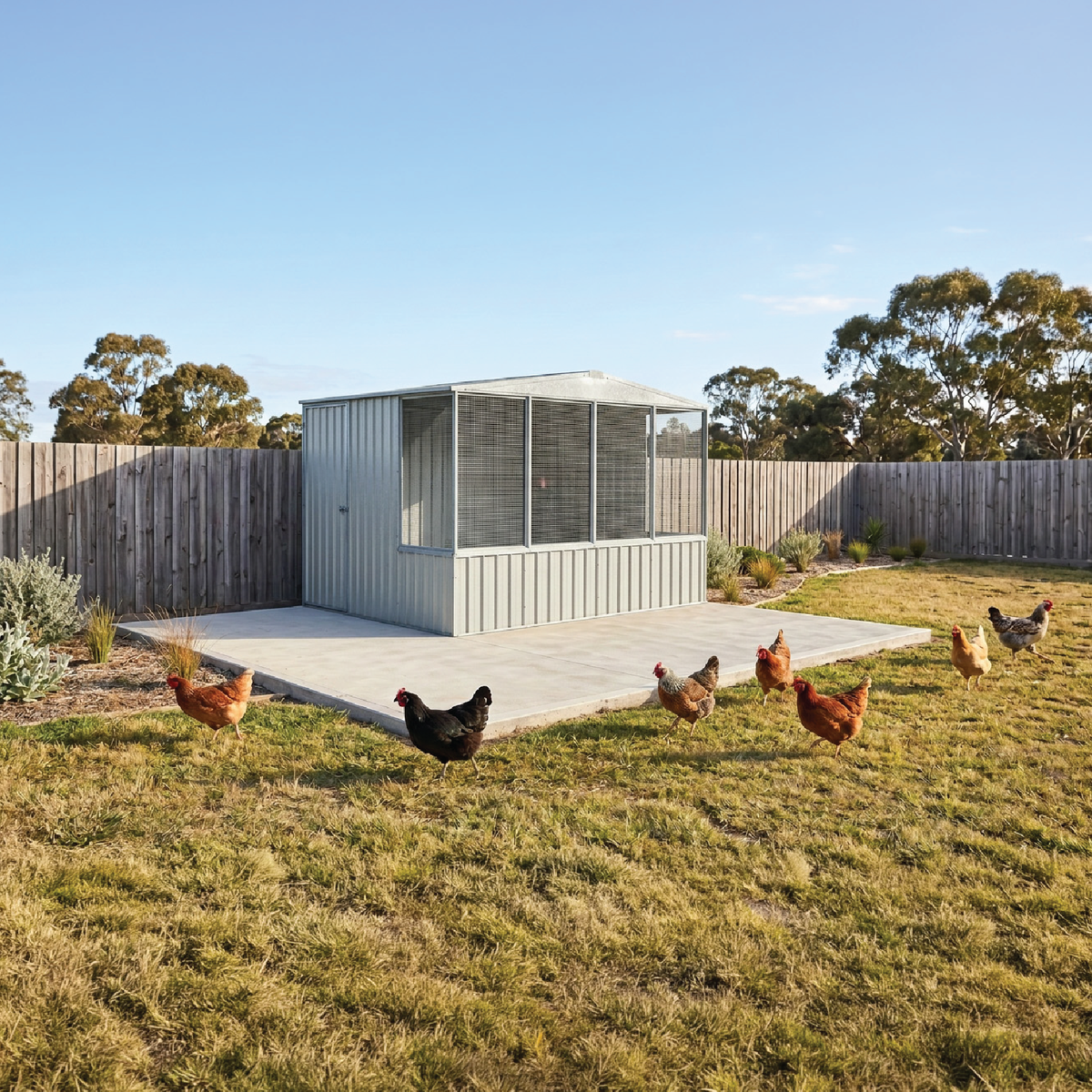 3.00mW x 2.22mD x 2.06mH Chicken Coop Gable Roof Single Door Zincalume